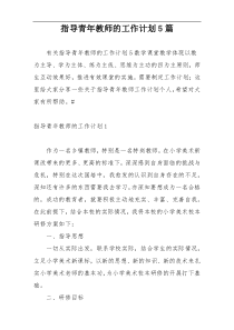 指导青年教师的工作计划5篇