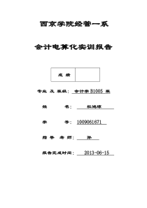 会计电算化实训报告2