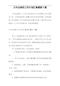 公司出纳的工作计划汇集最新5篇