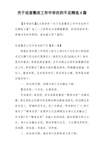 关于巡查整改工作中存在的不足精选4篇