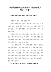 省委巡视组巡视反馈会议上的表态发言范文（三篇）