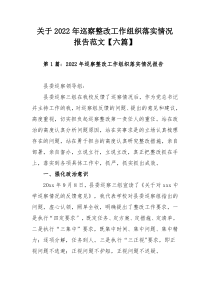 关于2022年巡察整改工作组织落实情况报告范文【六篇】