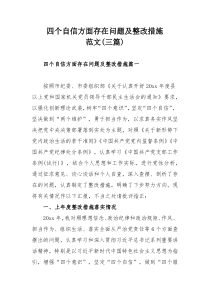 四个自信方面存在问题及整改措施范文(三篇)