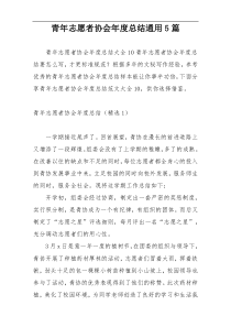 青年志愿者协会年度总结通用5篇