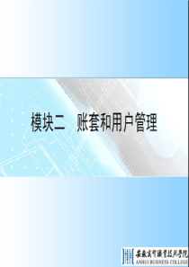 会计电算化账套与用户