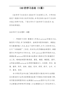 CAD的学习总结（5篇）