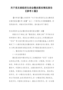 关于党支部组织生活会整改落实情况报告【参考5篇】