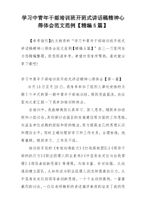 学习中青年干部培训班开班式讲话稿精神心得体会范文范例【精编5篇】