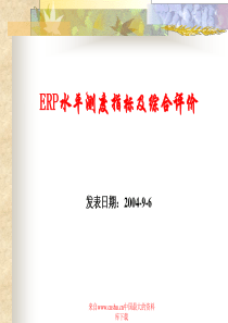 ERP水平测度指标及综合评价（PPT 17）