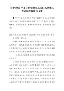 关于2023年非公企业党支部书记抓党建工作述职报告精选5篇