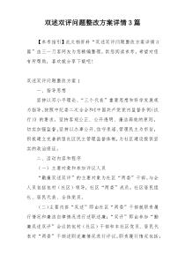 双述双评问题整改方案详情3篇