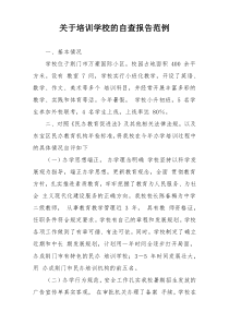 关于培训学校的自查报告范例