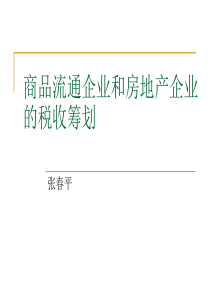 国家会计学院纳税筹划培训课件（3）