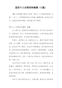 团员个人对照材料集聚（5篇）