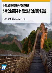 IT规划路线图_SAP方案参考指南V10