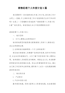 销售经理个人年度计划3篇