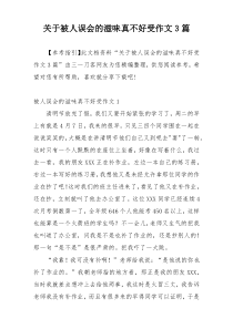 关于被人误会的滋味真不好受作文3篇