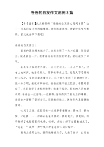 爸爸的白发作文范例3篇