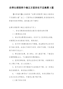 在带头领悟两个确立方面存在不足集聚3篇