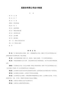 某股份有限公司会计制度