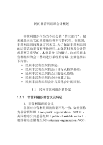 民间非营利组织会计概述(DOC 30页)