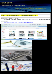 法务会计概述XXXX
