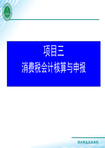 税务会计实务_消费税会计核算与申报