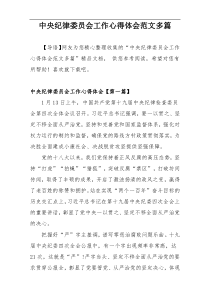 中央纪律委员会工作心得体会范文多篇