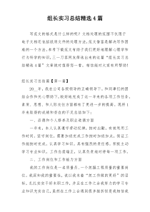 组长实习总结精选4篇