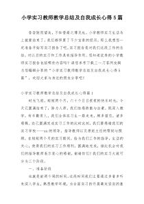 小学实习教师教学总结及自我成长心得5篇