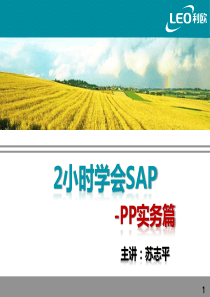 LEO-SAP-PP操作实务