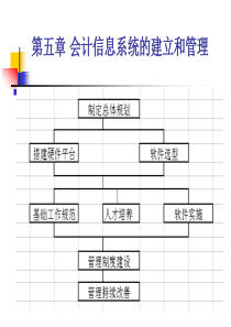 第五章会计信息系统的建设和管理