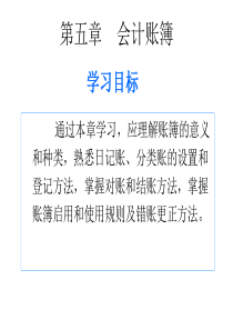 第五章会计账薄