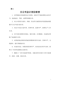 营销标准分公司会计附件