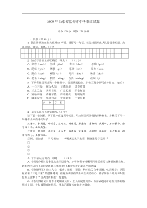 2009年山东省临沂市语文中考试题+答案