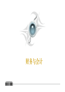 财务与会计(pdf 124)