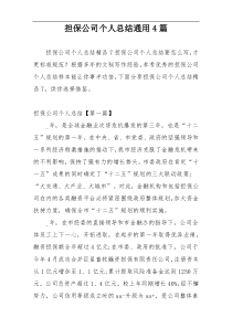 担保公司个人总结通用4篇