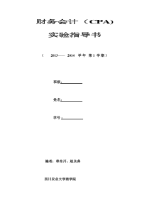 财务会计(CPA)实验实习