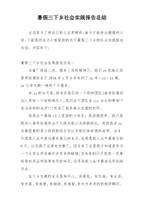 暑假三下乡社会实践报告总结