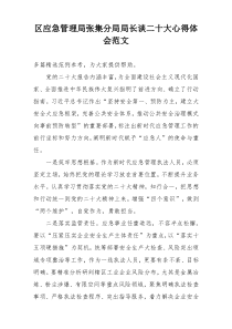 区应急管理局张集分局局长谈二十大心得体会范文