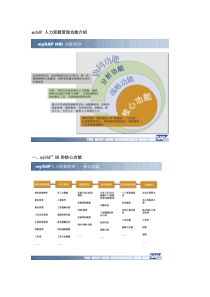 mySAP 人力资源管理功能介绍