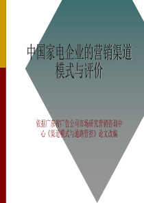 中国家电企业的营销渠道现状与评价