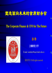 CFO(MPAcc)(1)