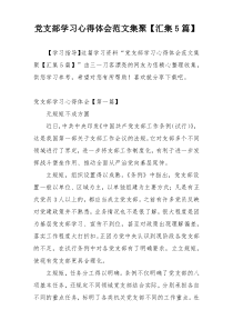 党支部学习心得体会范文集聚【汇集5篇】