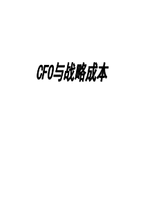 CFO与战略成本(ppt 33)(7.24MB)