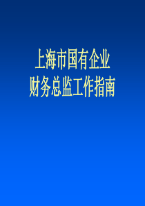 上海市国有企业财务总监工作指南