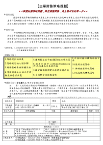 企业财务策略规划