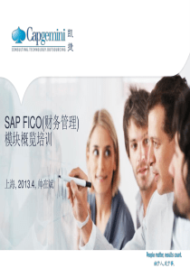 SAP_FICO_FI-财务培训_-_4-8