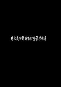 战略财务管理体系(PPT83)