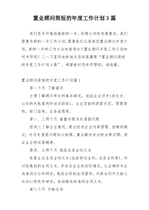 置业顾问简短的年度工作计划3篇